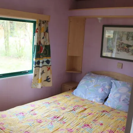 Camping De La Pointe Camping 3*